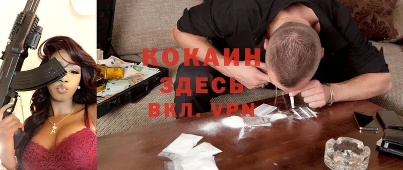 Cocaine 98%  Гай 